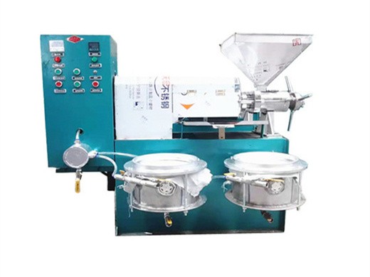 machine d'extraction de graines et de noix de plantes par pression à froid nf 600