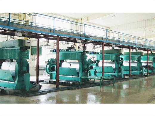 machines de traitement des céréales et de l'huile de guangxin en chine