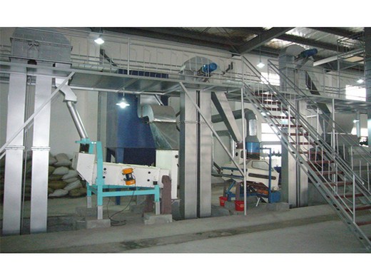 coût de construction d'une usine de mouture automatique de farine de blé