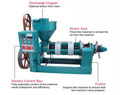 machine de presse à huile d'arachide de grande capacité/extraction d'huile