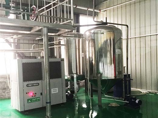 machine d'extraction d'huile de ricin, extraction d'huile de ricin
