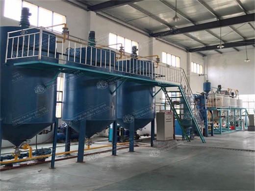 machine / huile de presse à huile d'arachide de grande capacité en chine
