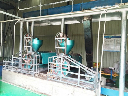 machine de pressage d'huile de graines d'abrasin à opération facile, 200 kg/heure