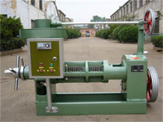 machine de presse à huile de machine de fabrication d'huile d'arachide de 1 100 t d