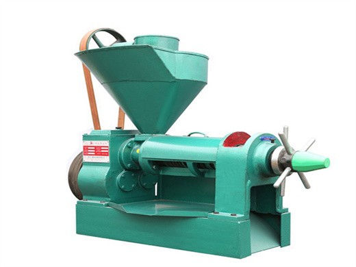 machine de fabrication d'huile d'arachide de 1 100 t d, presse à huile