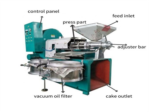machine de presse à froid d'huile de prix d'usine pour divers légumes