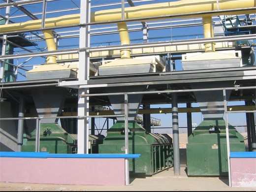 machine d'extraction d'huile par pression à froid et à chaud