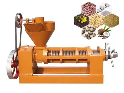 machine d'extraction automatique d'huile de tournesol de haute qualité