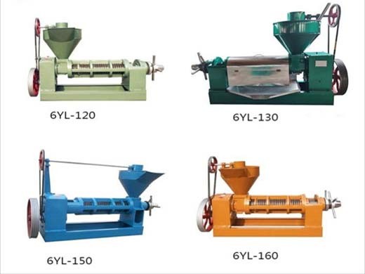 machine d'extraction de moulin à presse de traitement d'huile de palme en chine