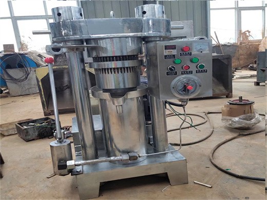 machine de presse à huile de graines de soja meilleures ventes au cameroun