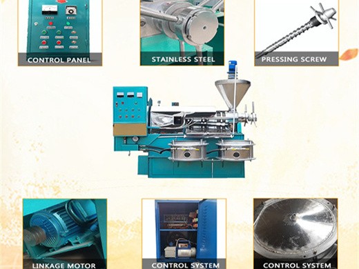 fabricant et fournisseur de presses à huile haut de gamme