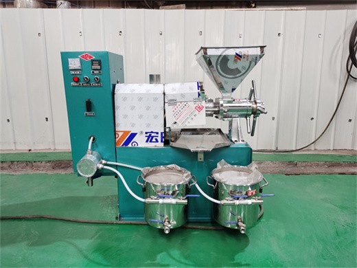 machine professionnelle de pressage d'huile de germe de maïs pour moulin à huile de maïs