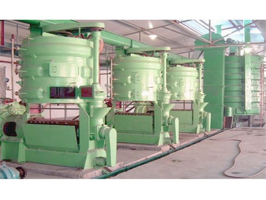 machine de fabrication d'huile de tournesol/presse à huile d'arachide/huile de palme