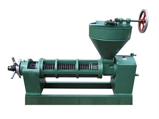 machine de presse à huile de palmiste en acier inoxydable 316 huile de palme
