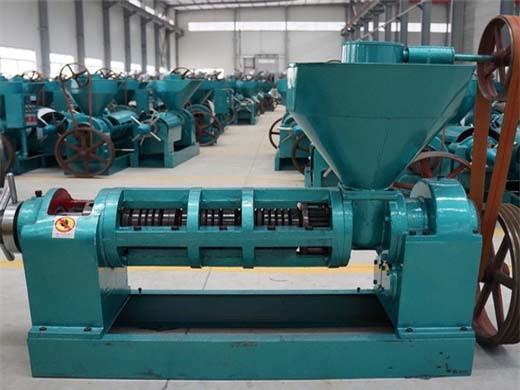 machine de presse à huile multifonctionnelle hydraulique canmax