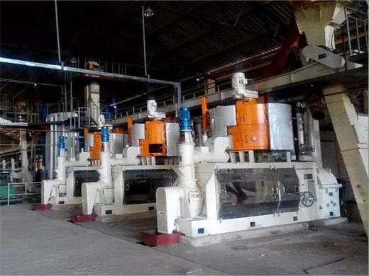fabricant de machines pour moulins à huile en chine