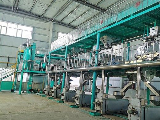 machine de remplissage d'huile de palme de 100 à 300 t/j | Équipements industriels automatiques de pressage d'huile comestible