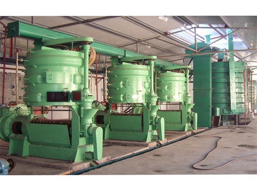 machine d'extraction d'huile de soja à petite capacité de production