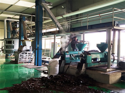 fournisseurs de machines de presse à huile de ricin cameroun – huile comestible