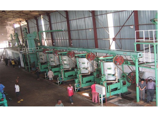 quelles machines ont été utilisées dans le processus de traitement de l'huile de palme
