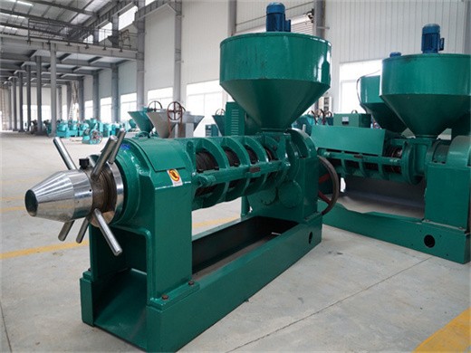 300-500 kg/h petite machine d'extraction d'huile de palme