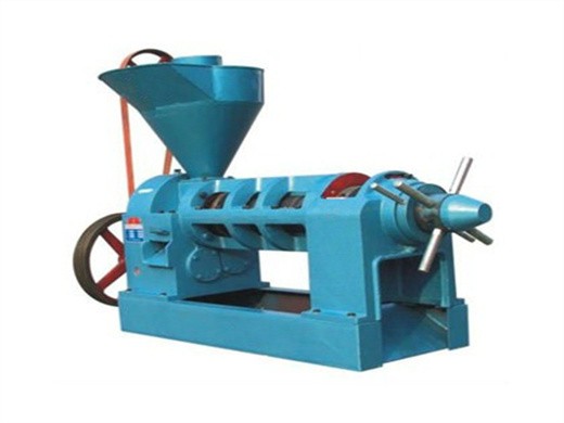 fabrication et fournisseur de machines de presse à huile comestible de premier plan en chine !