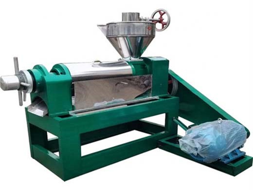 machine de presse à huile machine d'extraction d'huile d'eucalyptus