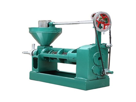 machine d'extraction d'huile de noix de coco 6yl-120 automatique en chine