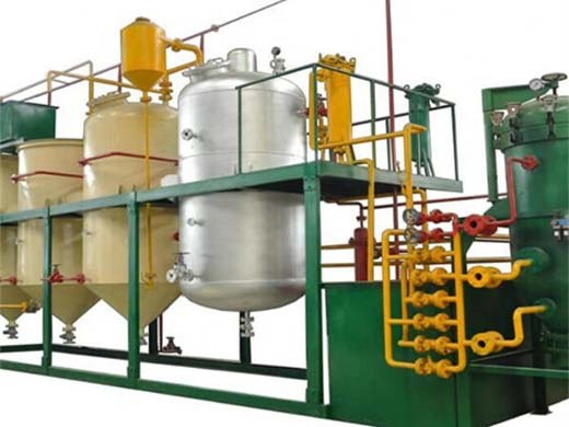 machine de laminage de haute qualité et machine de moulin à huile de palme en chine au burundi | ligne de production d'huile de palme